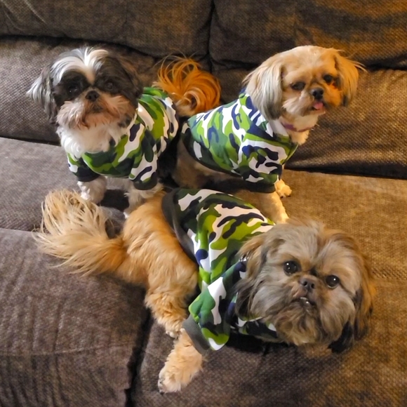 Meet your Posher, Mickey - Picture 1 of 1